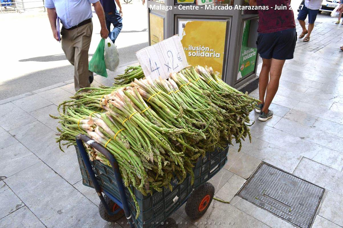 146- Malaga Atarazanas.JPG
